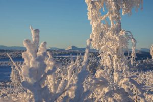 noosl054-schneeschuh-norwegen-winterlandschaft