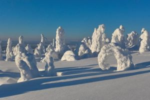 verschneite-winterlandschaft-in-schwedisch-lappland-win18047_rdax_487x325